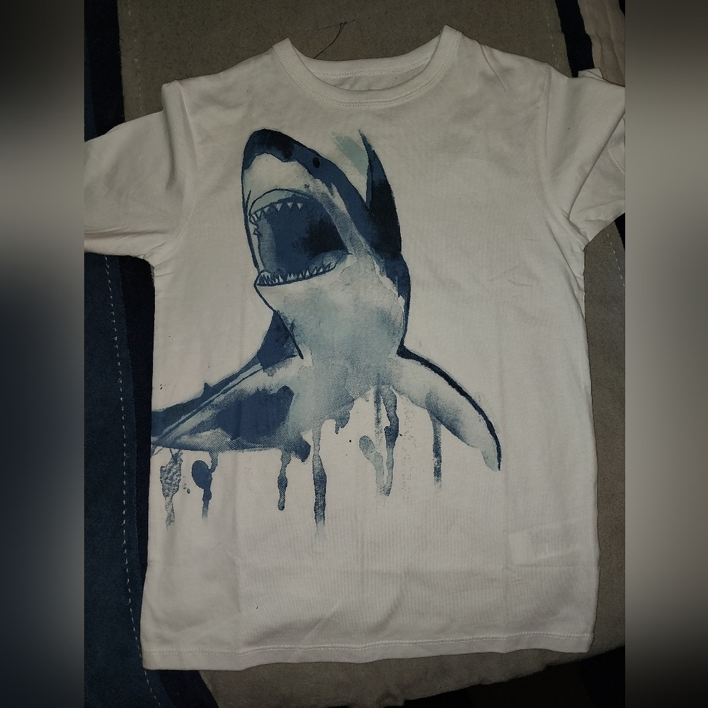 Lot of 14 Boys SS T-shirts